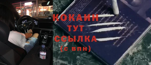 ГАЛЛЮЦИНОГЕННЫЕ ГРИБЫ Абаза