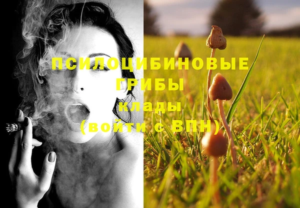 2c-b Абдулино