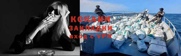 ГАЛЛЮЦИНОГЕННЫЕ ГРИБЫ Абаза