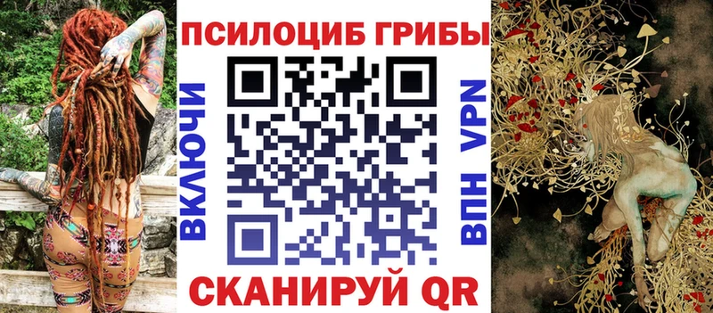 OMG рабочий сайт  мориарти телеграм  Галлюциногенные грибы прущие грибы  Новочебоксарск 